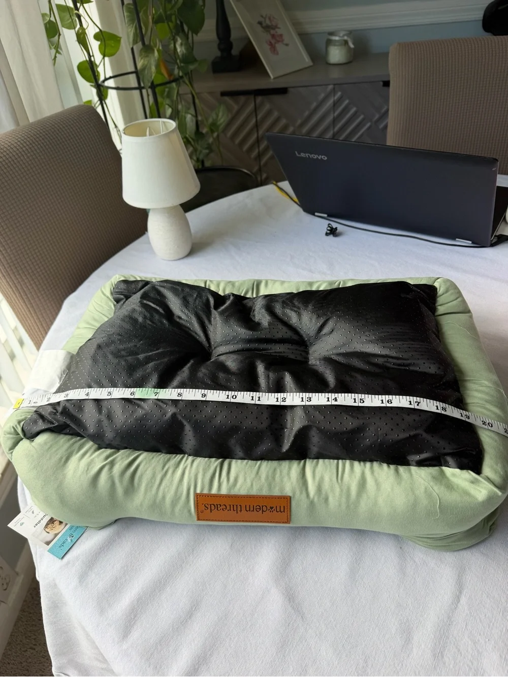Cozy Cuddler Plush Pet Bed - Sage Green